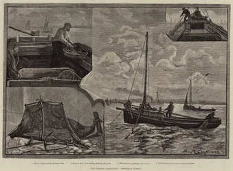 Our Fishing Industries, Whitebait Fishing